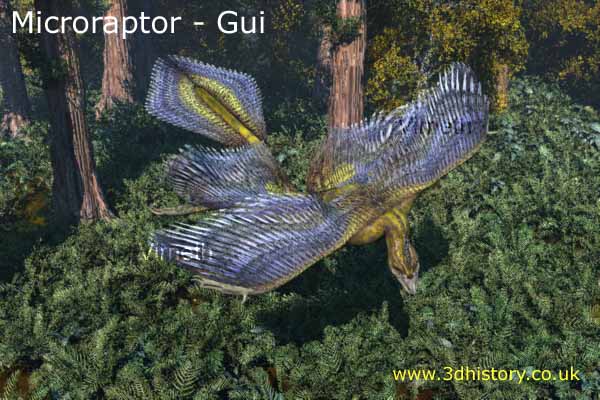 Microraptor gui is believed to be an ancestor of the birds from the early part of the Cretaceous period