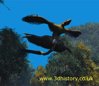 Microraptor may have been able to sustain level flight but probably glided more often than not